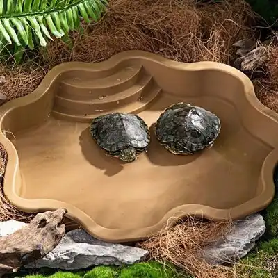 ZooVenture Bañera y comedero para reptiles - AMARILLO - Zooventure - Comparador de precios