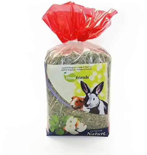 Heno natural para roedores Home Friends Zanahoria-Equinácea 500 gr