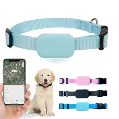 IntiMeg collar GPS para mascotas - Negro - IntiMeg - Comparador de precios