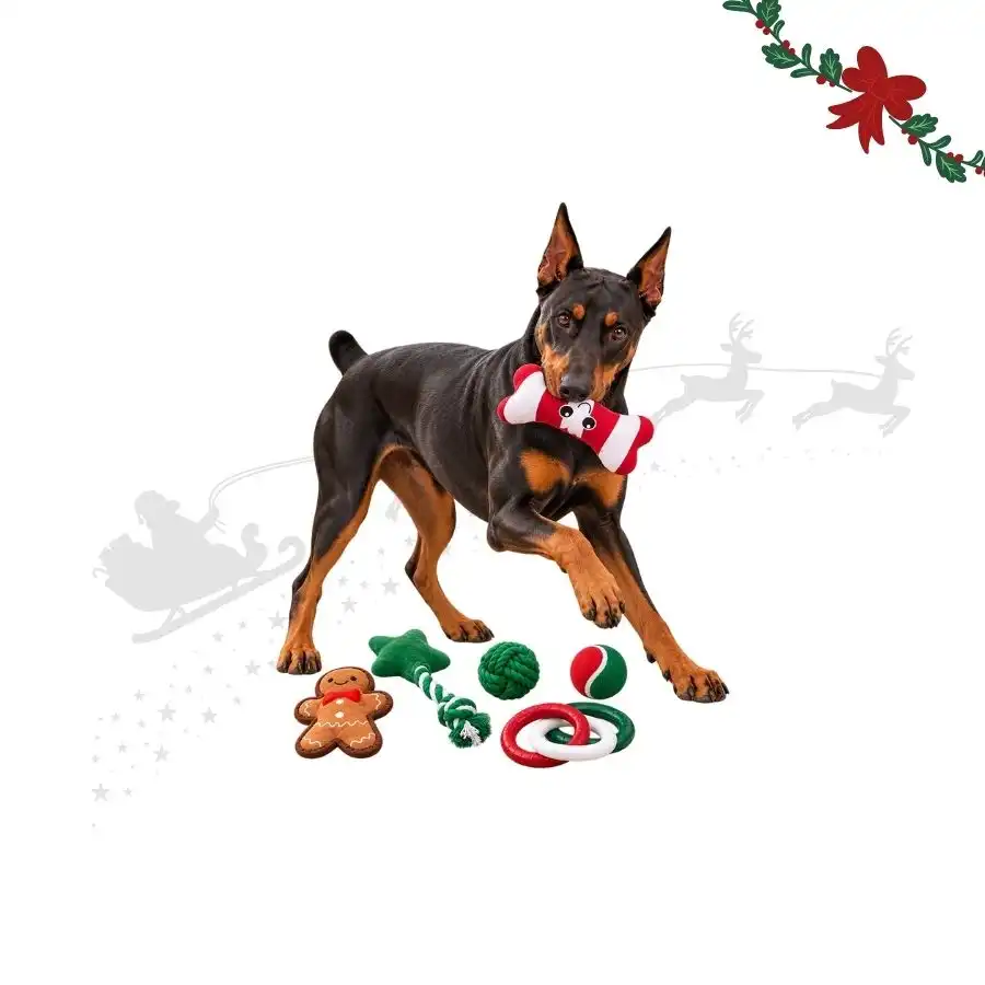 Wonder Christmas Cesta de s Premium  para perros - 6 uds. - Wonder Christmas - Comparador de precios