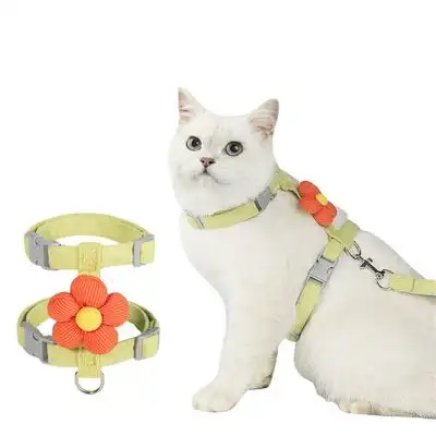 FurryFusion Juego de cuerdas de tracción para gatos (1,8 m) - Verde S - Furry Fusion - Comparador de precios
