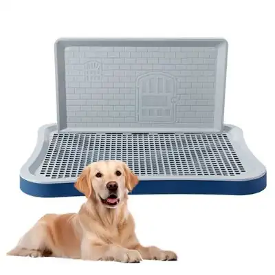 ZooVenture Arenero grande para perros - Azul 51*39*3,5 cm - 51*39*3,5 cm - Zooventure - Comparador de precios