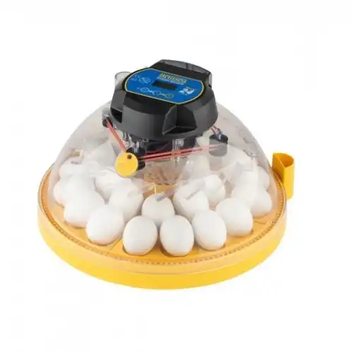 Brinsea incubadora maxi 24 ex para gallinas - Brinsea - Comparador de precios