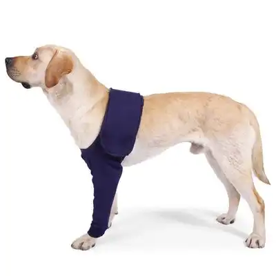 IntiMeg Funda protectora antilamido para perros - S - IntiMeg - Comparador de precios