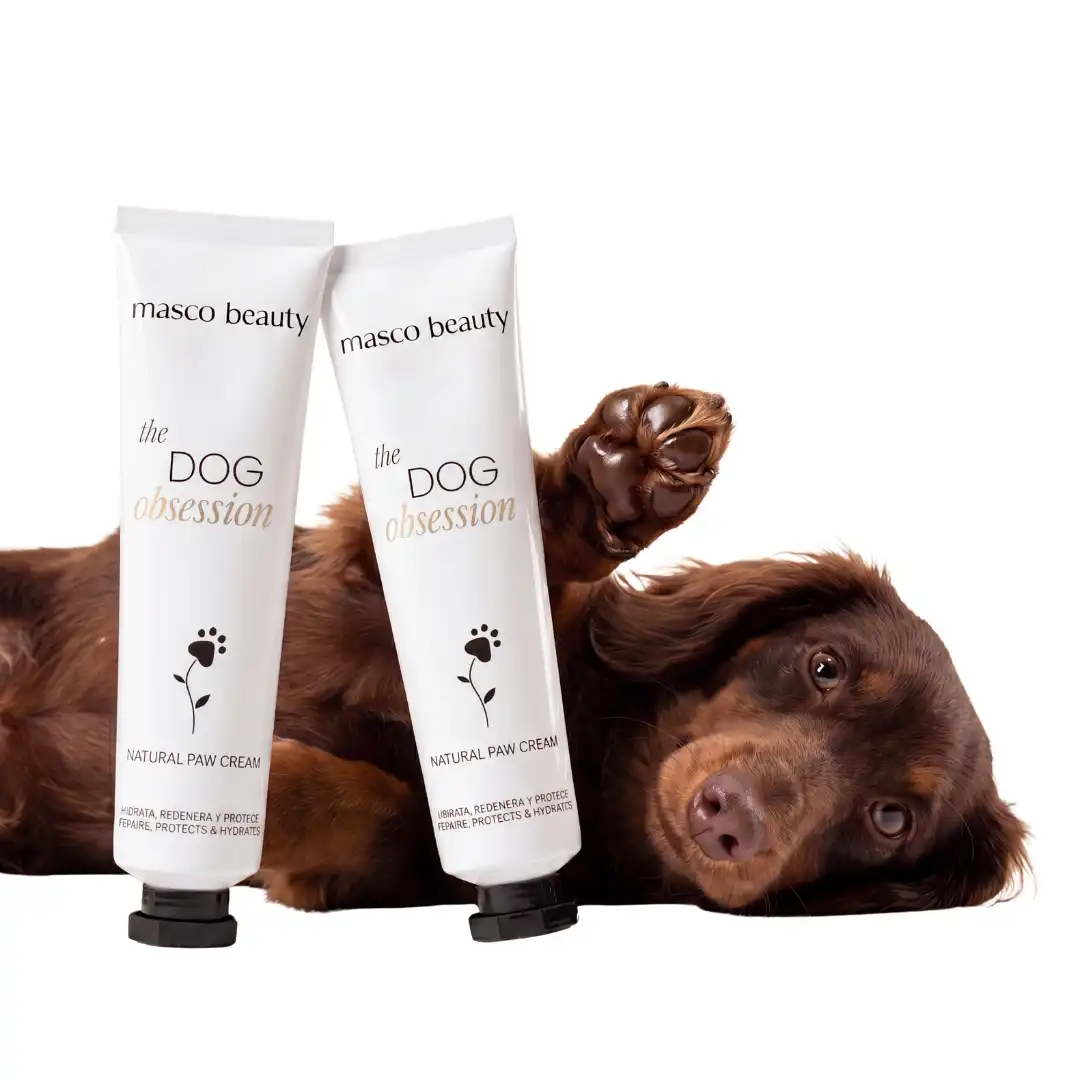 Masco Beauty Crema Protectora de Almohadillas para perros · Protección frente al asfalto caliente y suelo abrasador · Repara, hidrata y refresca patas secas y agrietadas · Verano · Hecho en España - 75 ml - Masco Beauty - Comparador de precios