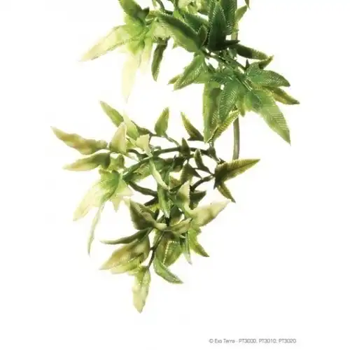 Planta colgante plástica para terrario Exo Terra, Croton, M - Exo Terra - Comparador de precios