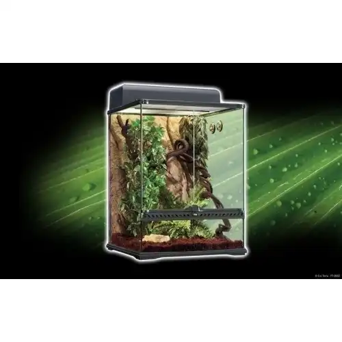 Kit Terrario Tropical Exo Terra Pequeño