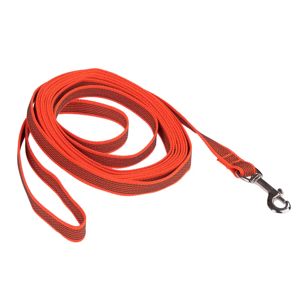 Correa de rastreo Heim engomada para perros - 5 m x 2 cm (L x An)