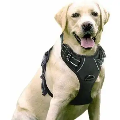 Pawffee Arnés negro perro – reflectante ajustable cierre frontal seguro - 1 pieza - Pawffee - Comparador de precios