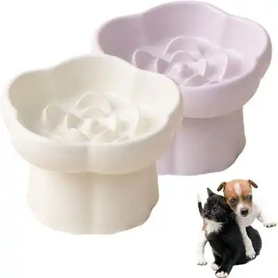 ZooVenture Tazón de cerámica de alta velocidad con tope (2 piezas) - Blanco + Morado - Zooventure - Comparador de precios