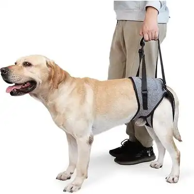 MCBOSON Cinturón de soporte para las patas traseras del perro - Talla XL 62-76, pierna 40, peso recomendado 52-80 kg - Mcboson - Comparador de precios