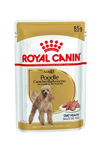 Royal Canin Dachshund Adult Húmedo 85 gr.