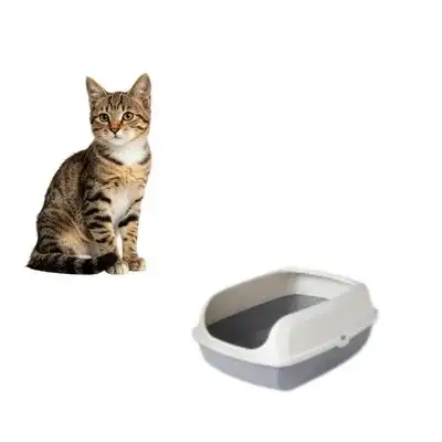 MCBOSON Laterales altos, abertura superior, bandeja para arena de gato - 1 artículo - Mcboson - Comparador de precios