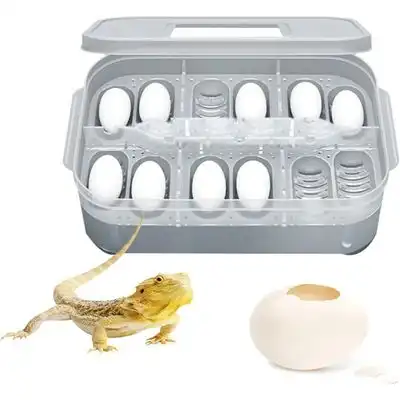 Zoomtopia Incubadora reptiles capacidad 12 huevos, ABS, 16,5 x 11 x 5 cm - Gris - Zoomtopia - Comparador de precios