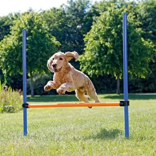 Valla de agility para perros