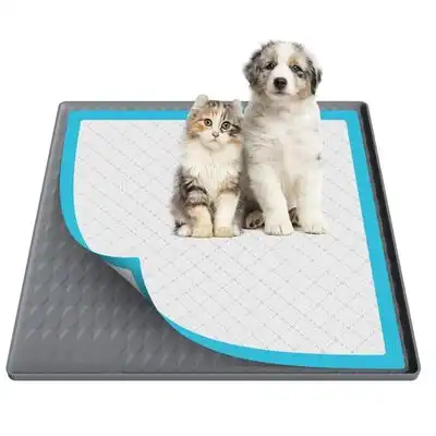 IntiMeg Alfombrilla de entrenamiento de silicona para perros y gatos - 60*60 cm - IntiMeg - Comparador de precios