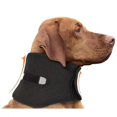 IntiMeg Collar de recuperación para perros - L - IntiMeg - Comparador de precios