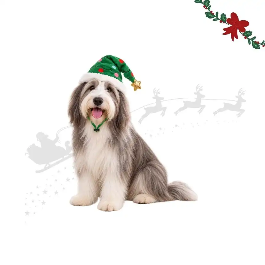 Wonder Christmas Gorro Árbol Navidad para perros - M/L (33 x 17 x 2 cm) - Wonder Christmas - Comparador de precios