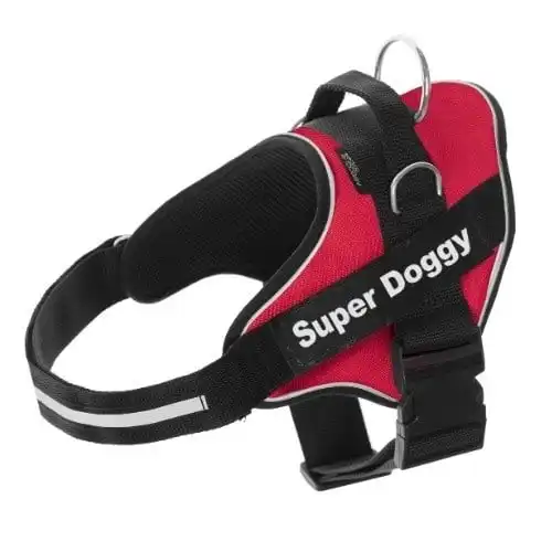 Arnés personalizado Super Doggy para perros color Rojo - Super Doggy - Comparador de precios