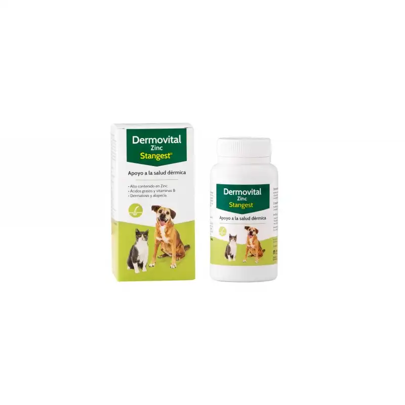 Dermovital Zinc para Perro y Gato, Cápsulas 60 - Stangest - Comparador de precios