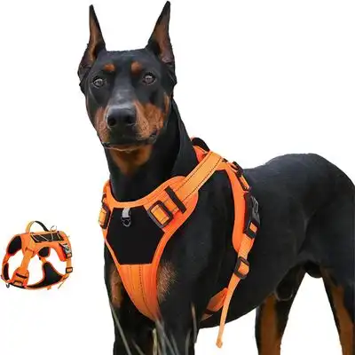 IntiMeg Arnés Power Dog - L - IntiMeg - Comparador de precios