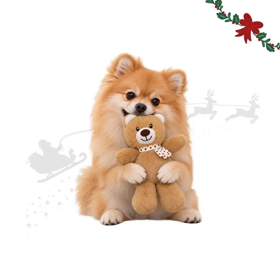 Wonder Christmas Oso Caramelo Peluche para perros - 20 x 10 x 6 cm - Wonder Christmas - Comparador de precios