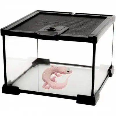 ZooVenture Miniterrario de cristal para reptiles - S - Zooventure - Comparador de precios