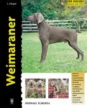 Weimaraner (Excellence)