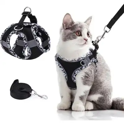 HausPets Arnés antiescape para gato negro XXS - 1 artículo - HausPets - Comparador de precios