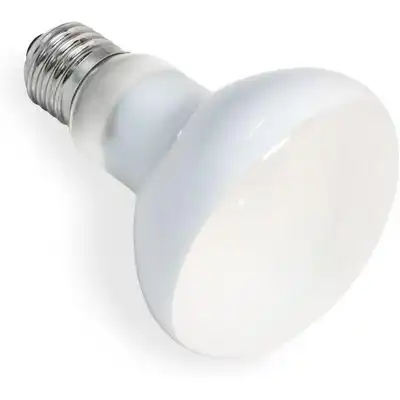 Zoomtopia Bombilla de calor UVA 75 W, casquillo 27 R80, terrarios reptiles - Blanco 75W - Zoomtopia - Comparador de precios