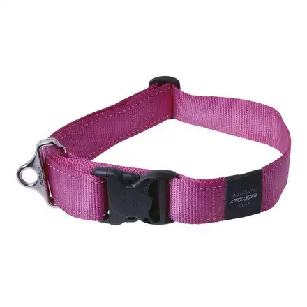 Collar Rogz para perros Landing Strip - Rogz - Comparador de precios
