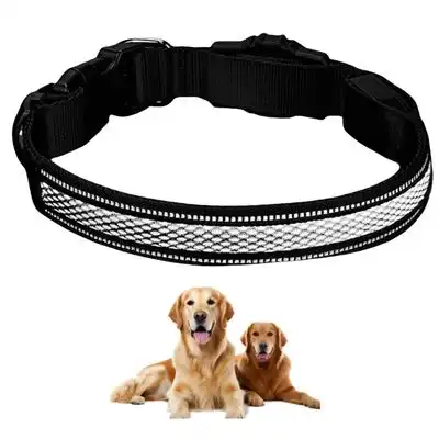 FurryFusion Collar para perros con luz - Negro L - Furry Fusion - Comparador de precios