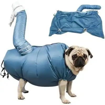 Zoomtopia Bolsa de secado 360° perros/gatos, tamaño grande, accesorio aseo - Azul - Zoomtopia - Comparador de precios