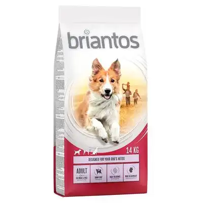 Briantos 14 kg pienso para perros ¡con gran descuento! - Adult Salmón y arroz - briantos - Comparador de precios