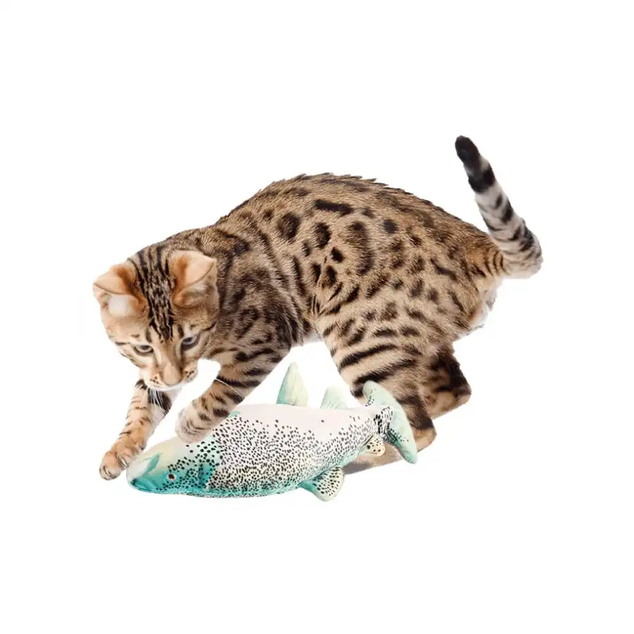 All For Paws Natural Instinct Interactivo Pez para Gatos
