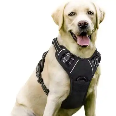 ZooVenture Arnés antitirones para perros - 3 hebillas, ajustable - Negro L 35–45 jin - Zooventure - Comparador de precios