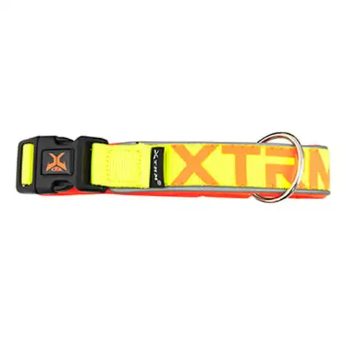 Collar Nayeco para perros Xtrm Neon Flash Mediana