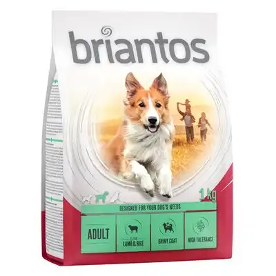 Briantos Adult 3 x 1 kg - Pack de prueba - 3 x 1 kg - briantos - Comparador de precios