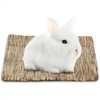 HausPets Lecho de heno para conejos, cobayas y pequeños roedores - 20×28cm - HausPets - Comparador de precios