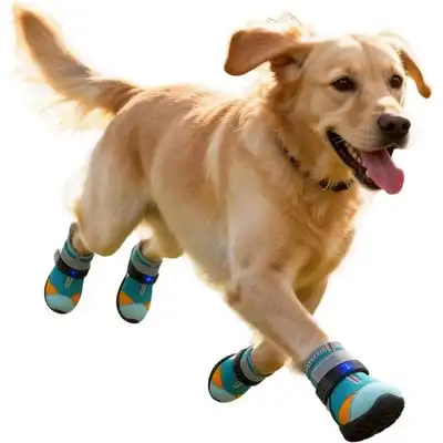 HausPets Zapatos LED ajustables y antideslizantes gatos/cachorros, 5,8 cm - Artículo 1 - HausPets - Comparador de precios