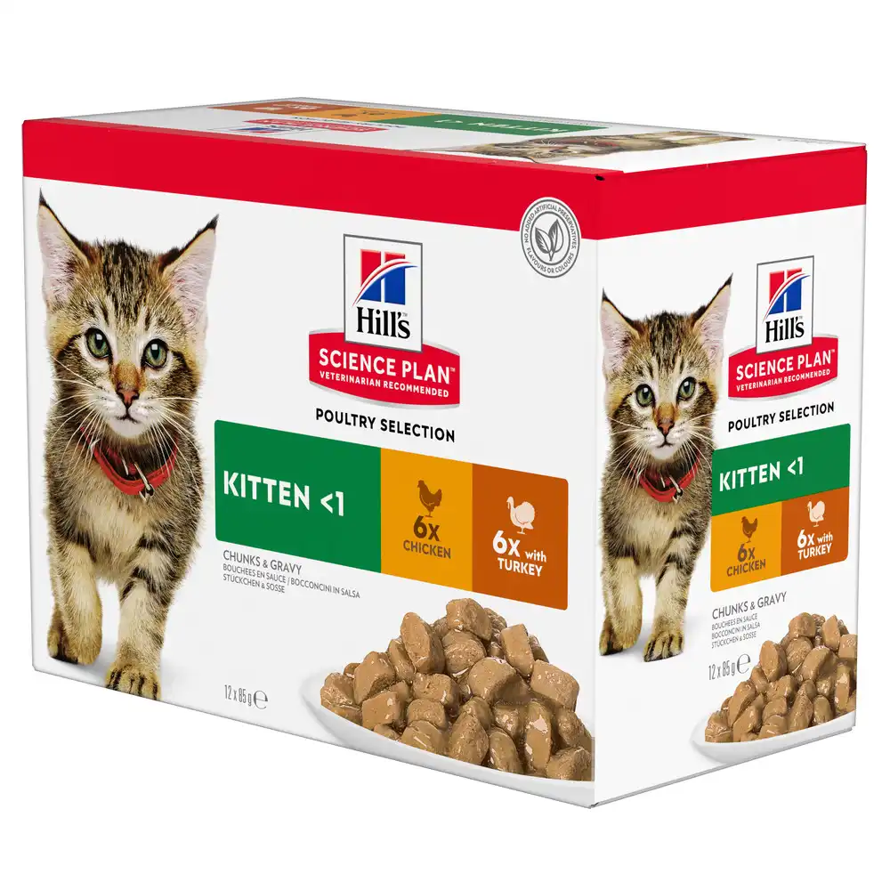 Hill's Kitten para gatos - 12 x 85 g Selección de aves