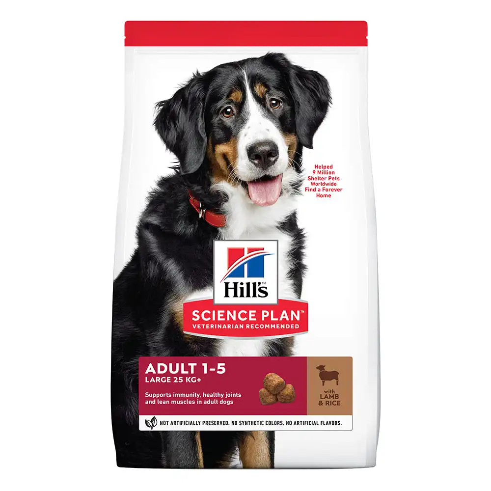 Hill's Science Plan Adult Large Cordero y Arroz 14 KG