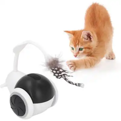 UAMLY Coche deportivo eléctrico Funny Cat - Artículo 1 - Uamly - Comparador de precios