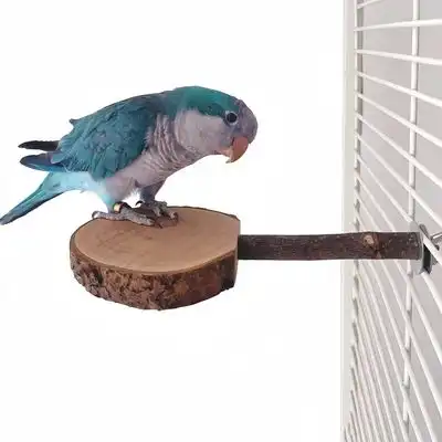 FurryFusion Soporte de madera para percha de pájaro - Artículo 1 - Furry Fusion - Comparador de precios
