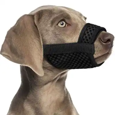 IntiMeg Bozal para perros de malla transpirable 3D - S - IntiMeg - Comparador de precios