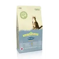 James Wellbeloved Adult Oral Health Pavo y arroz - 4 kg