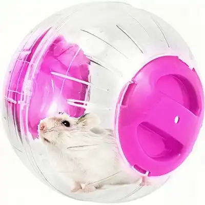 ZooVenture Pelota de ejercicio para hámsteres, ratas y jerbos - Rosa - Zooventure - Comparador de precios