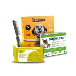 Artivet complex perros y gatos. Condroprotector 300, 0.1