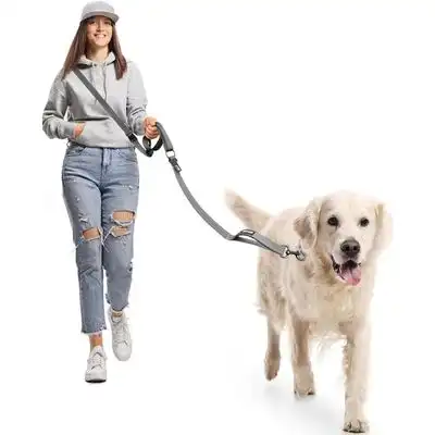 HausPets Arnés de paseo manos libres de 2,9 m, reflectante, gris - Artículo 1 - HausPets - Comparador de precios