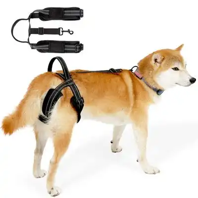 ZooVenture Arnés de elevación para patas traseras de perros - L - Zooventure - Comparador de precios